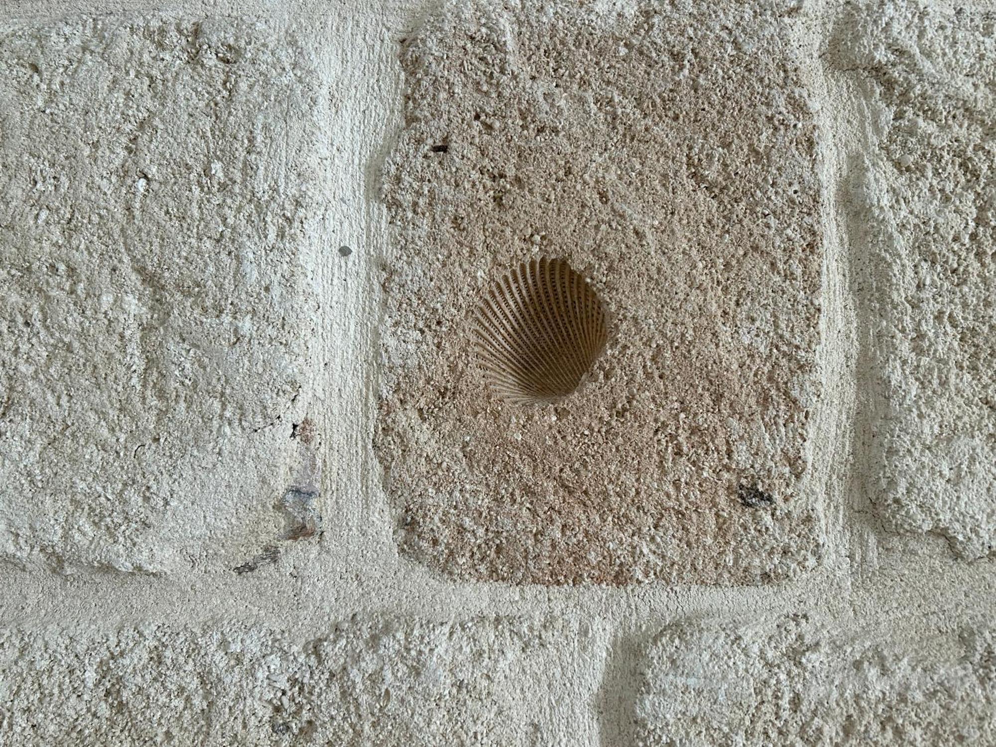 Apartament Casa Rosaria Monopoli Zewnętrze zdjęcie